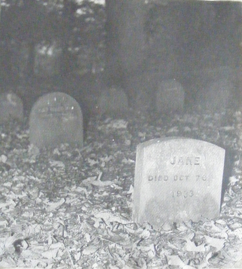 St Albans pets cemetery 1920-33