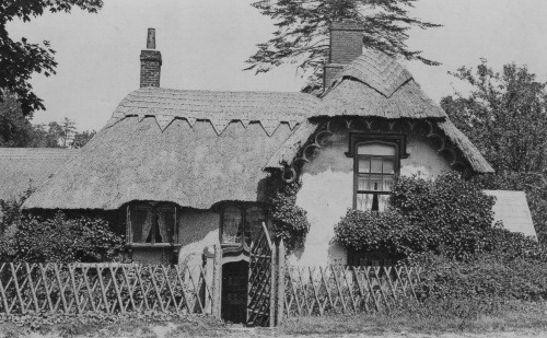 Frogham Cottage from the road, early 1900's.